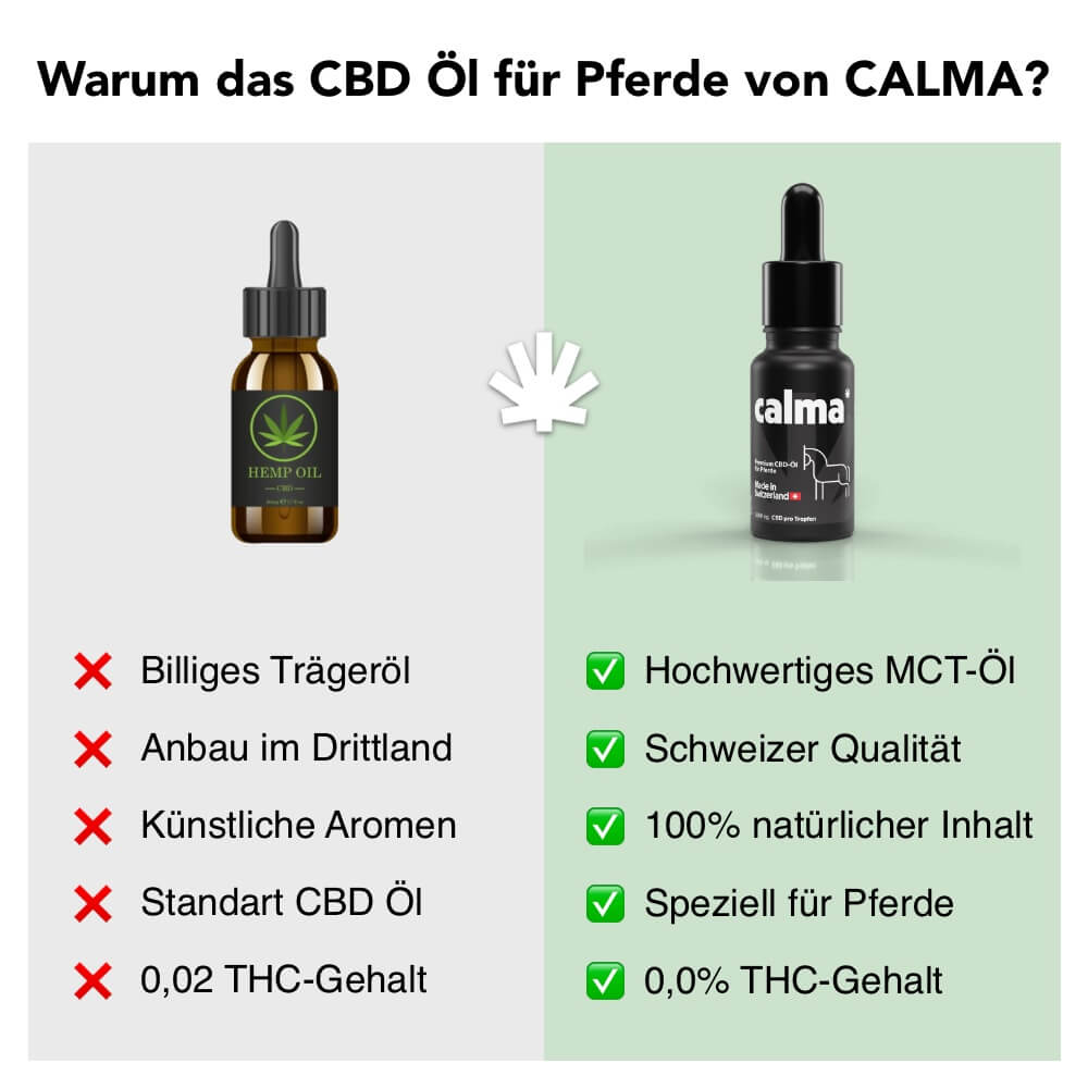 Olio CBD per cavalli 🐴