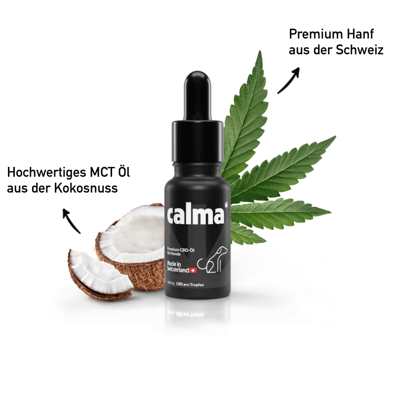 Olio CBD migliori 10%